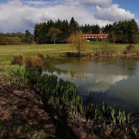 Orsegi Patakparti Alpaka Panzio Bed and Breakfast Kisrakos Exteriör bild
