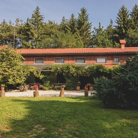 Orsegi Patakparti Alpaka Panzio Bed and Breakfast Kisrakos Exteriör bild