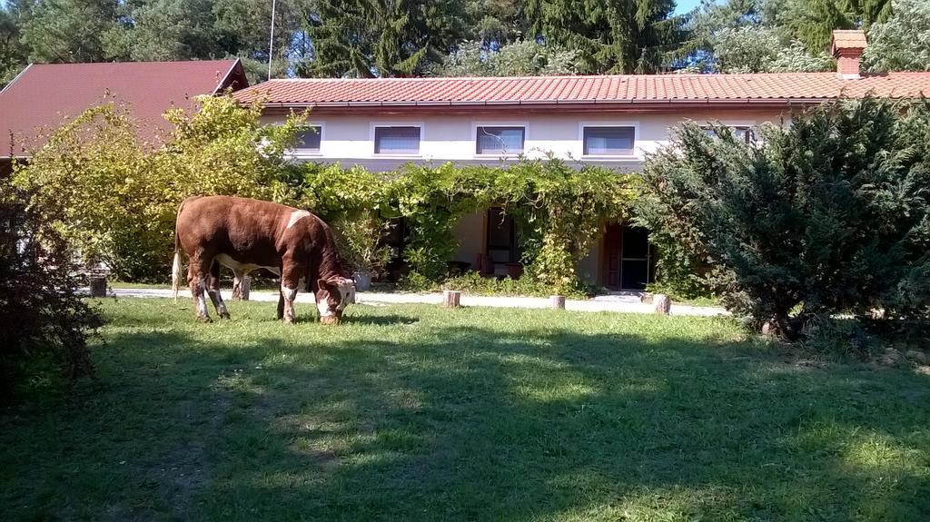 Orsegi Patakparti Alpaka Panzio Bed and Breakfast Kisrakos Exteriör bild