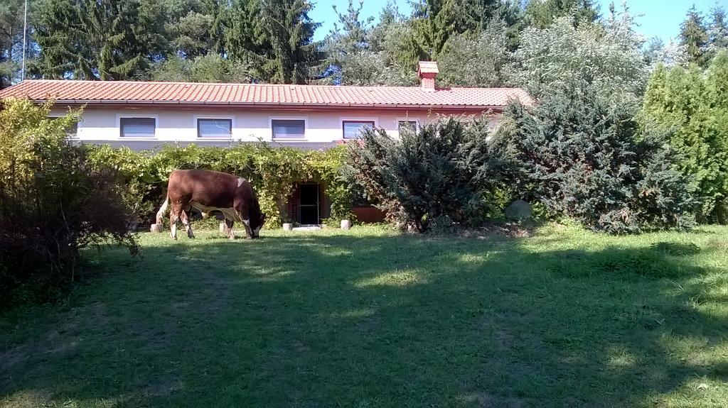 Orsegi Patakparti Alpaka Panzio Bed and Breakfast Kisrakos Exteriör bild