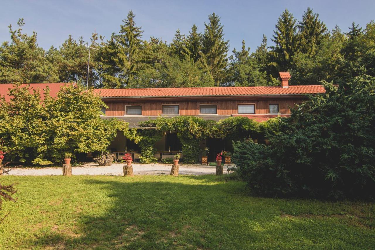 Orsegi Patakparti Alpaka Panzio Bed and Breakfast Kisrakos Exteriör bild