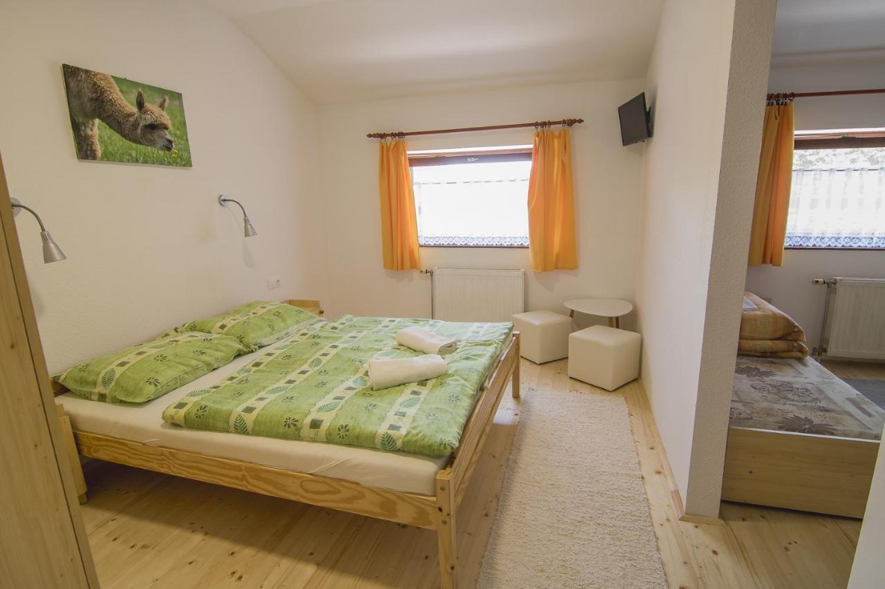 Orsegi Patakparti Alpaka Panzio Bed and Breakfast Kisrakos Exteriör bild
